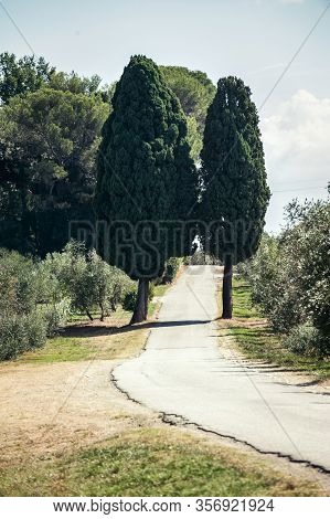 Tuscany With Italian Evergreen Cypress Road, Idyllic Seasonal Nature Landscape. Outdoors Vertical Co