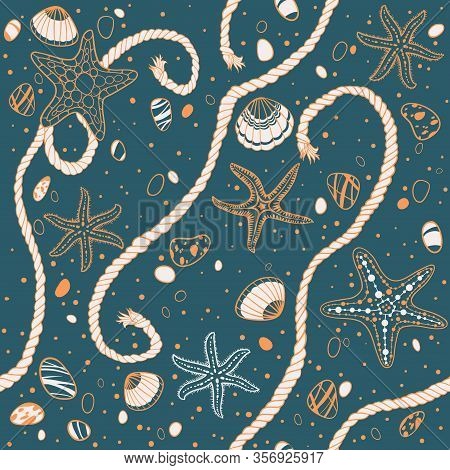 Hand Drawn Seastars, Rope, Seastones And Seashells On Wooden Background. Hand Whritten Summer Letter
