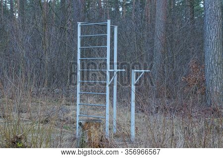Gray Iron Sports Horizontal Bars And Parallel Bars In Nature Among Grass And Trees