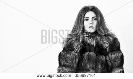 Fur Store Model Posing In Soft Fluffy Warm Coat. Pretty Fashionista. Woman Makeup And Hairstyle Posi
