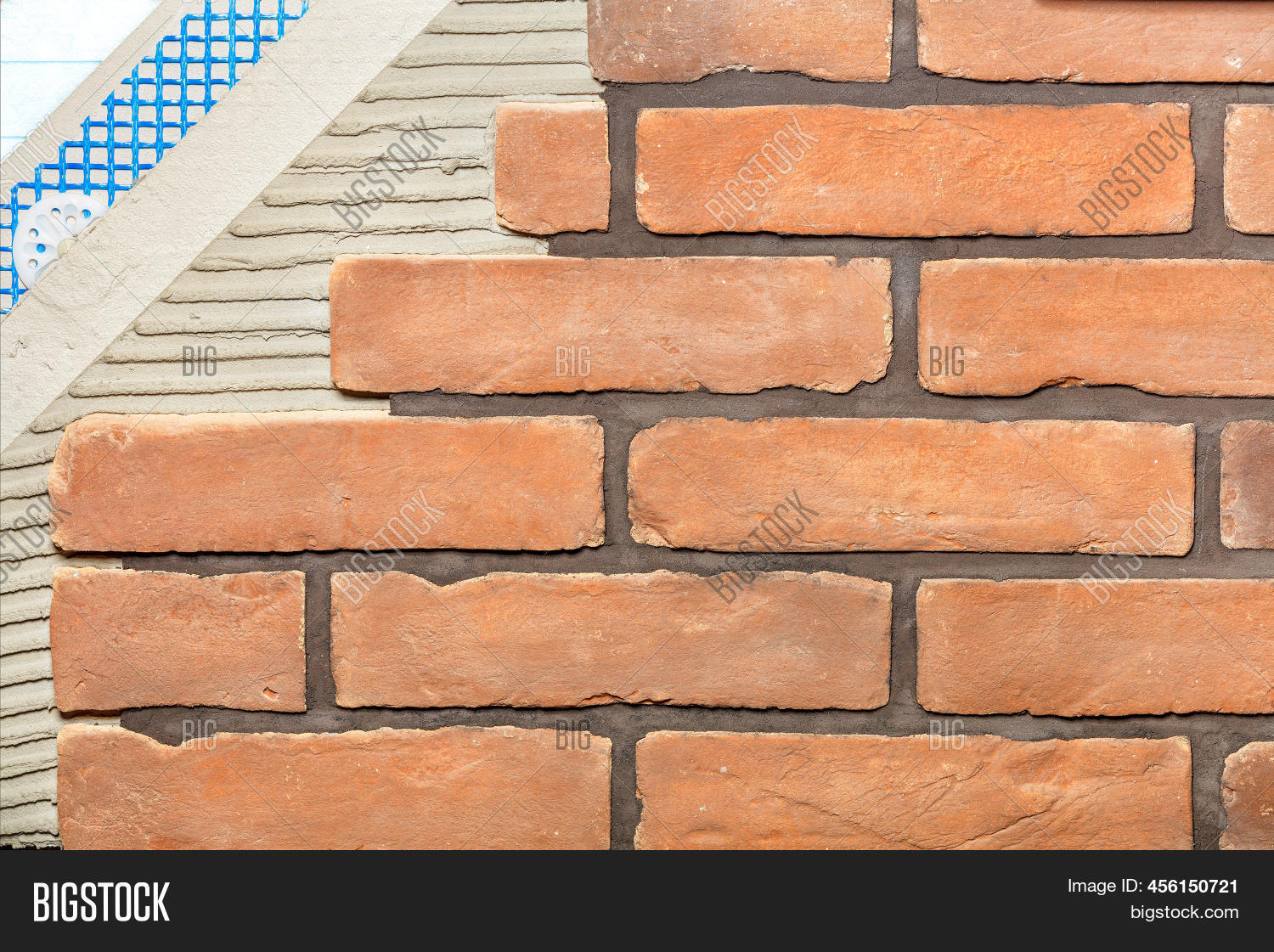 Consistent Structure Image & Photo (Free Trial) | Bigstock