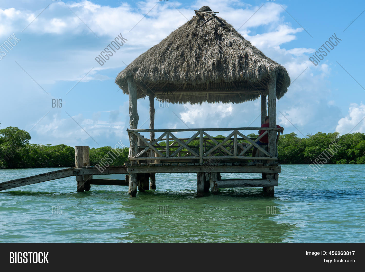 Gazebo Thatched Roof Image & Photo (Free Trial) | Bigstock