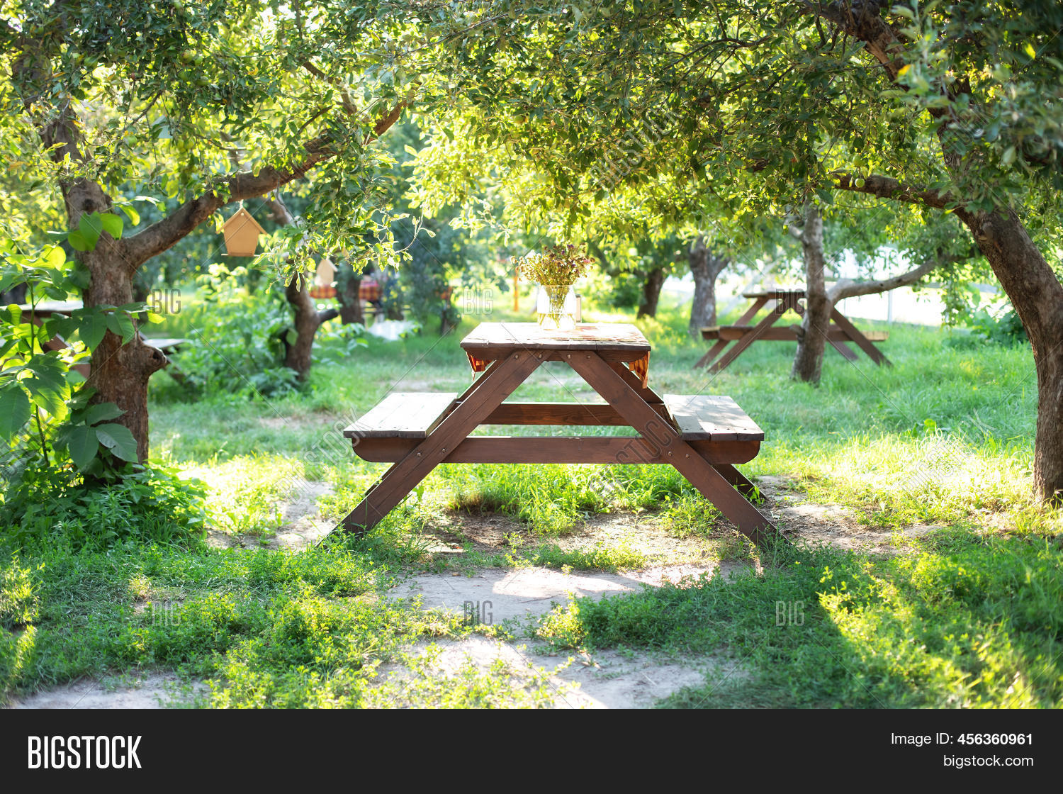 Beautiful Picnic Area Image & Photo (Free Trial) Bigstock