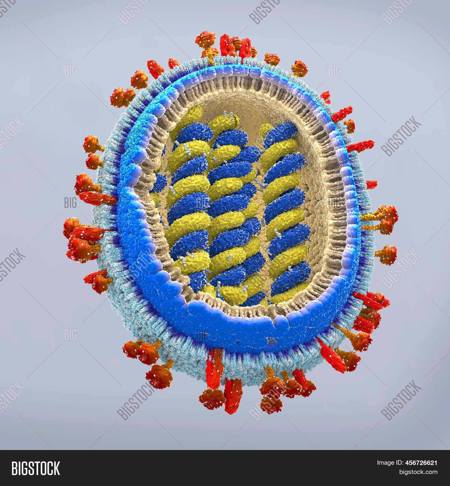 Pathogens Vector 3d 3d Illustration Image & Photo (Free Trial) | Bigstock
