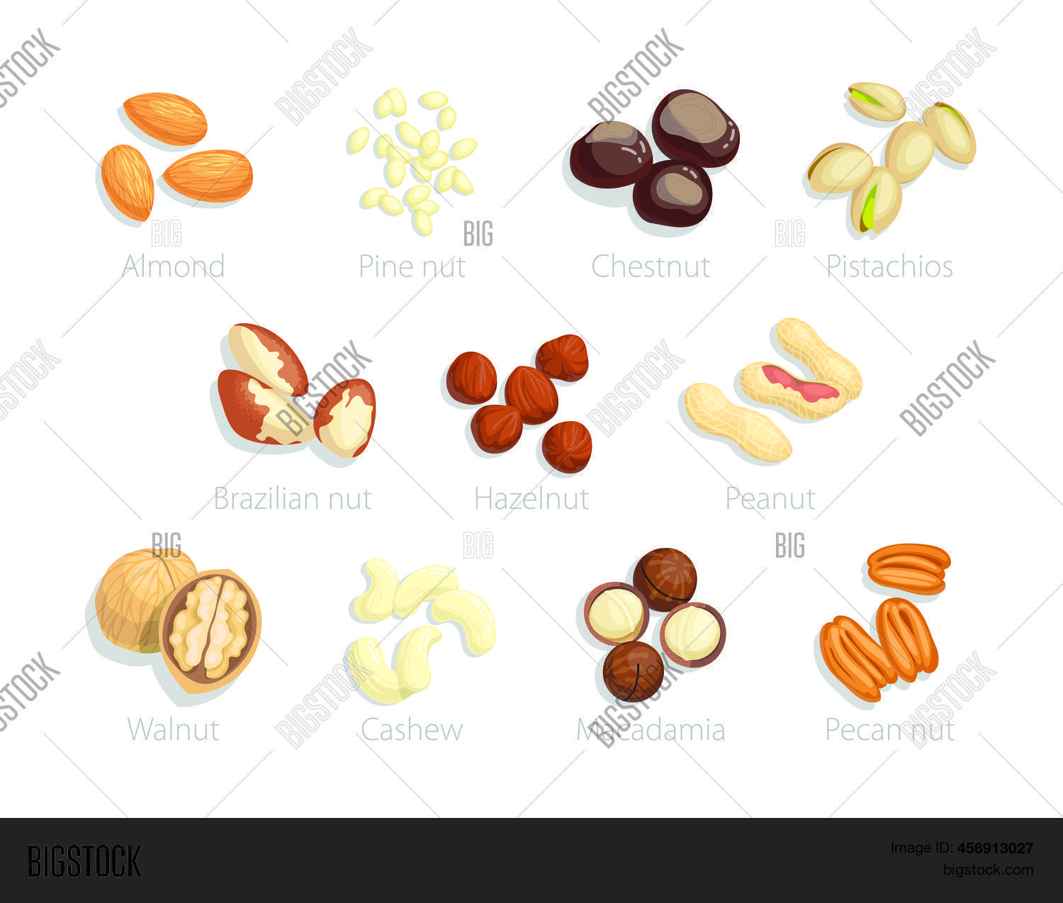 Raw Nuts Set Name Vector & Photo (Free Trial) Bigstock