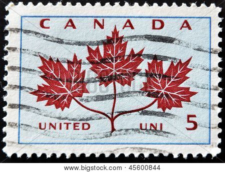 Viene illustrato un timbro stampato in Canada Maple Leaf