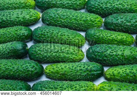 Fresh Green Cucombers As A Background. Top View.