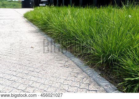 A Fragment Of A Pedestrian Path Made Of Fine Gravel Reinforced With A Geogrid Next To A Grass Garden