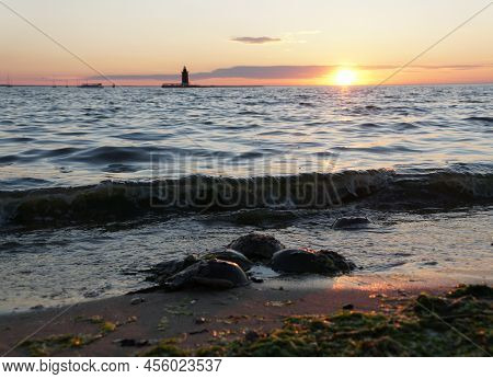 A Group Of Horseshoe Crabs Overlooking The Beautiful Sunset Near Cape Henlopen State Park, Lewes, De