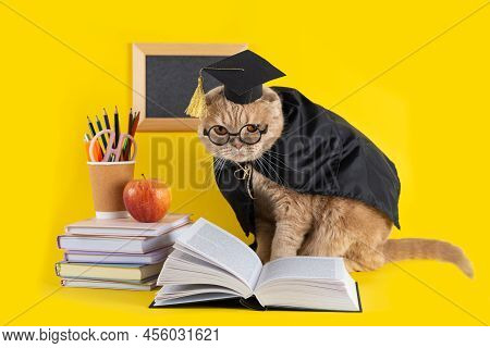 Welcome Back To School Poster. Funny Cat Student Reading A Book On Yellow Background. Greeting Card,
