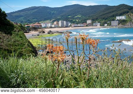 Atlantic Ocean Bay In Bakio, Small Touristic Village Near Bilbao, Basque Country, Spain