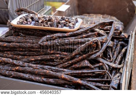 Corsican Food, Dried Sausages Salsiccia Figatellu Made From Free-range Or Wild Pigs On Corsica Islan