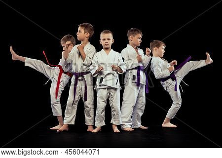 Group Portrait Of Preschool Age Boys, Beginner Karate Fighters In White Doboks Posing Like Team Isol