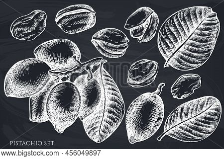 Vector Set Of Hand Drawn Chalk Pistachio Stock Illustration