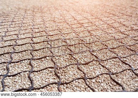Volumetric Geogrid At The Base Of A New Pedestrian Road, Road Construction, Reinforcement Covered Wi