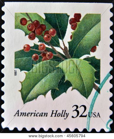 USA-CIRCA 1997:A stamp printed in USA shows image of the Ilex opaca American Holly circa 1997.