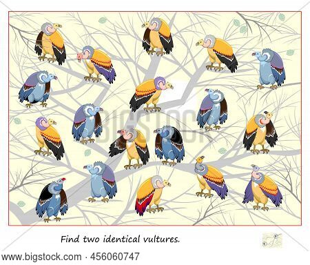 Logic Puzzle Game For Children And Adults. Find Two Identical Vultures. Page For Kids Brain Teaser B