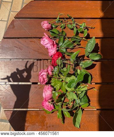 Eight Freshly Cut Pink Roses And One Red Rose Are Lying On The Table