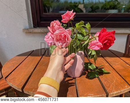 Eight Freshly Cut Pink Roses And One Red Rose Are Lying On The Table