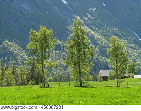 spring time at the village of Flam in norway