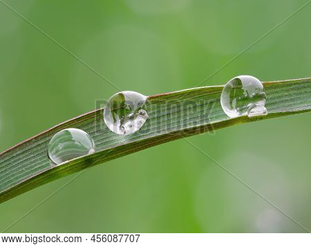Beautiful Close Up Dew Drops On The Grass