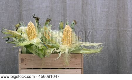 A Wooden Cruft Texture Box Full Of Fresh Young Corn With Green Lives, Brought From An Autumn Field S