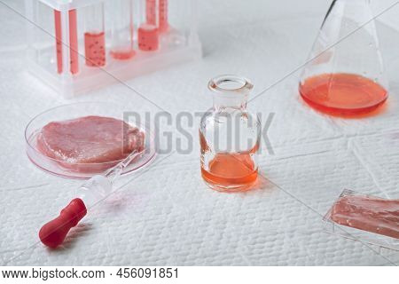Cultivated Steak, Meat From The Plant Stem Cell, New Food Innovation, No Killing. Laboratory Grown M