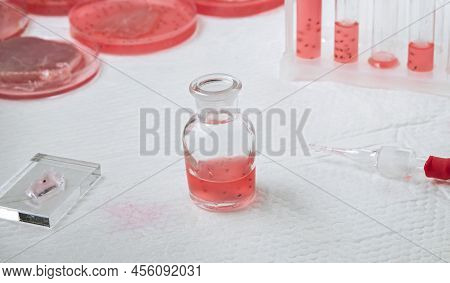 Cultivated Steak, Meat From The Plant Stem Cell, New Food Innovation, No Killing. Laboratory Grown M