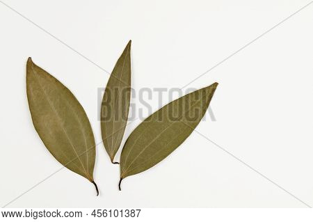 Closeup Shot Of Three Bay Leaves (cinnamomum Tamala) On A White Background