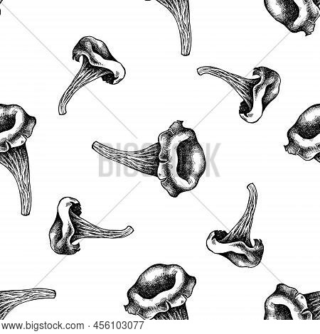 Seamless Pattern With Black And White Black Chanterelle Stock Illustration