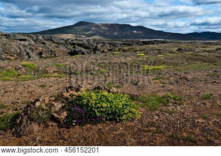 Beautiful Colourful Icelandic Landscape Lava Fields Mountain Geysers Zigzag Road And Moss-covered St