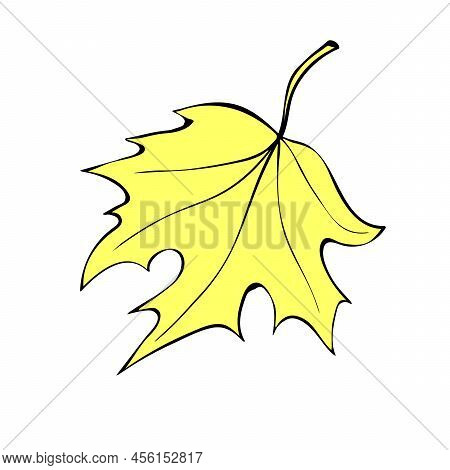 Vector Golden Maple Leaf In Flat Doodle Style, Isolated On White Background. Hand Drawn Clip Art, Sy
