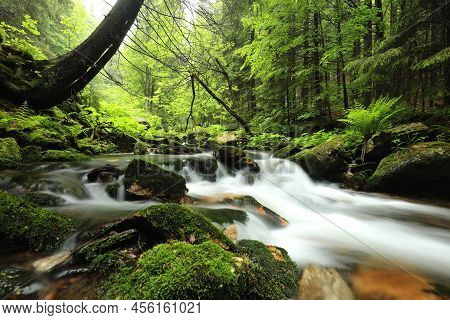 Forest stream Nature spring landscape Nature background river Nature landscape Nature landscape Nature background landscape yellow Nature landscape water Nature background landscape waterfall Nature landscape background Nature landscape Nature background.