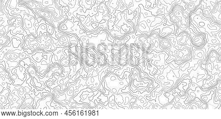 Topographic Map Background. Geographic Abstract Patterns Grid. The Topo Contour Map With Stylized He