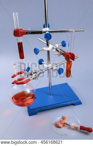 Abstract Laboratory For Making Research In New Food Innovation Or Pharmaceuticals . Laboratory Grown