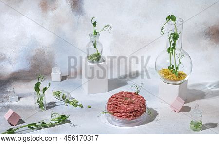 Abstract Laboratory For Making Artificial Meat From Plant Stem Cells
