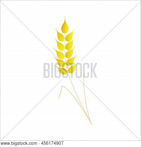 Ear Of Wheat On A White Background.