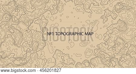 Topographic Map Background. Geographic Abstract Patterns Grid. The Topo Contour Map With Stylized He