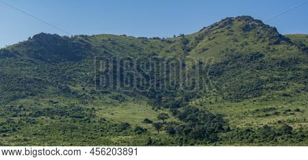 Hluhluwe Imfolozi Park Nature Reserve South Africa