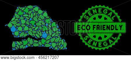 Eco Senegal Map Mosaic Of Plant Leaves And Water Dews, And Eco Friendly Badge Stamp. Senegal Map Is 