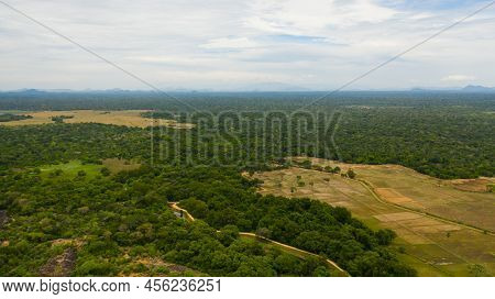 Tropical Landscape With Agricultural Land And Forest With Tropical Vegetation. Sri Lanka.