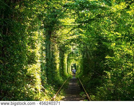 Scenic Railway In The Summer Forest. Couple Walk In Tunnel Of Love In Klevan, Ukraine. Railway Surro
