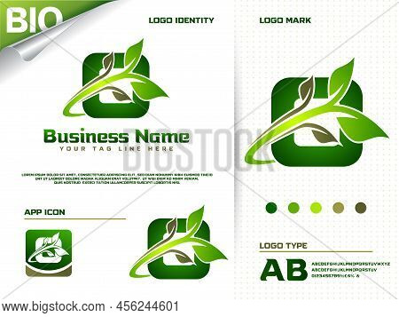 Initial Letter O With Green Leaf Logo Design Vector