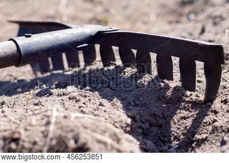 Photo Of A Garden Rake On A Bed. Old Metal Rake In The Garden. Spring Cleaning. Formation Of The Soi