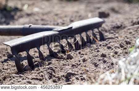 Close Up Photo Of A Garden Rake On A Bed. Old Black Metal Rake On Dry Soil, In The Garden. Spring Cl