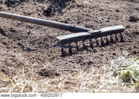 Photo Of A Garden Rake On A Bed. Old Metal Rake In The Garden. Spring Cleaning. Formation Of The Soi