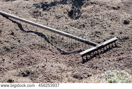 Close Up Photo Of A Garden Rake On A Bed. Old Black Metal Rake On Dry Soil, In The Garden. Spring Cl
