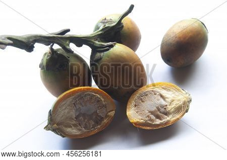 Betel Nut On White Background. Food Concept