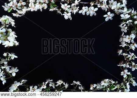 Frame Made Of White Flowers On Black Background. Top View Floral Composition. Flat Lay Arrangement. 