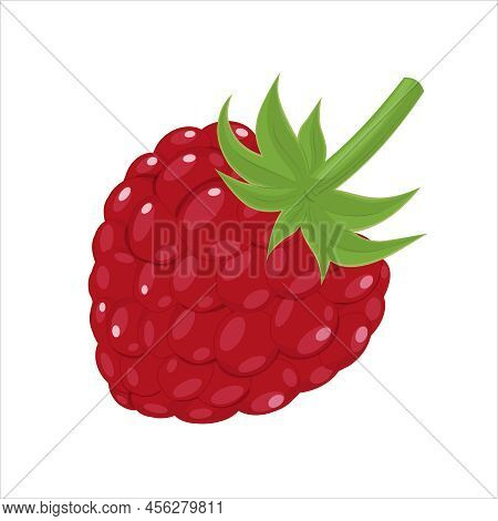 Freash Raspberry, Cartoon Style Vector Illustration Isolated On White Background